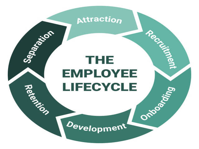 The employee lifecycle management scheme. Methodology circle diagram with attraction, recruitment, onboarding, development, retention and separation. Green on white background vector illustration.